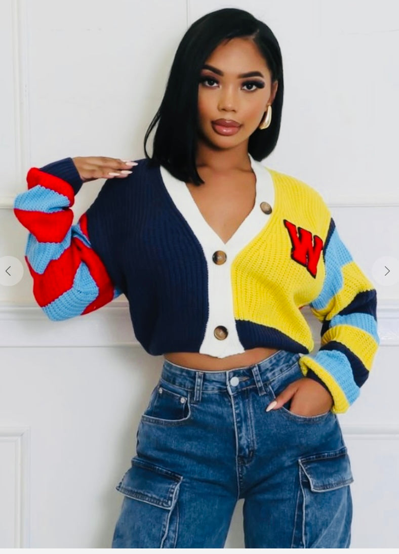 Color Block Crop Sweater Cardigan