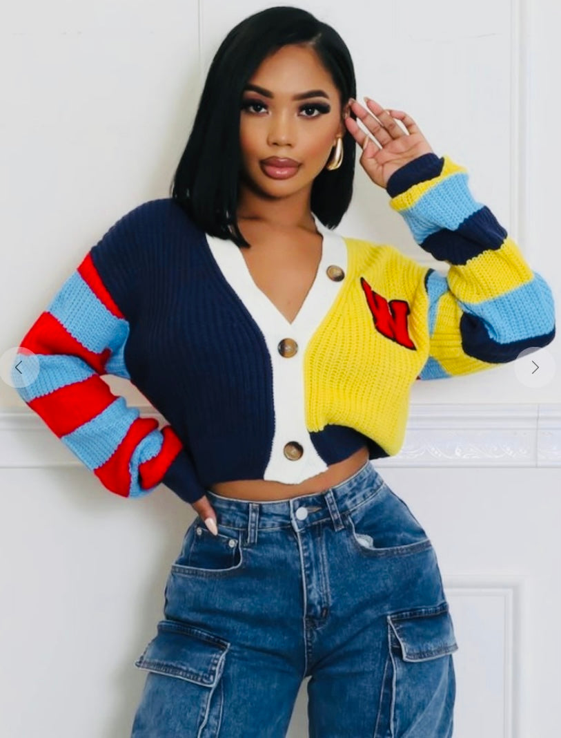 Color Block Crop Sweater Cardigan