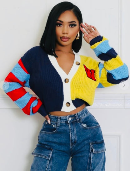 Color Block Crop Sweater Cardigan