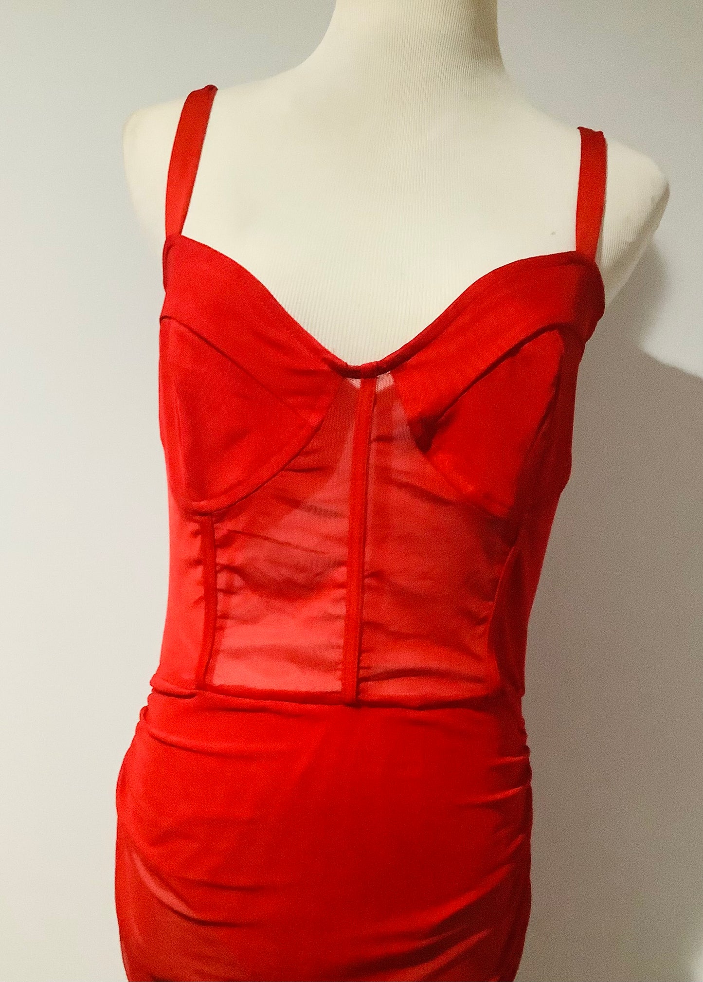 PLT: Mesh Corset Bodycon Dress NWT