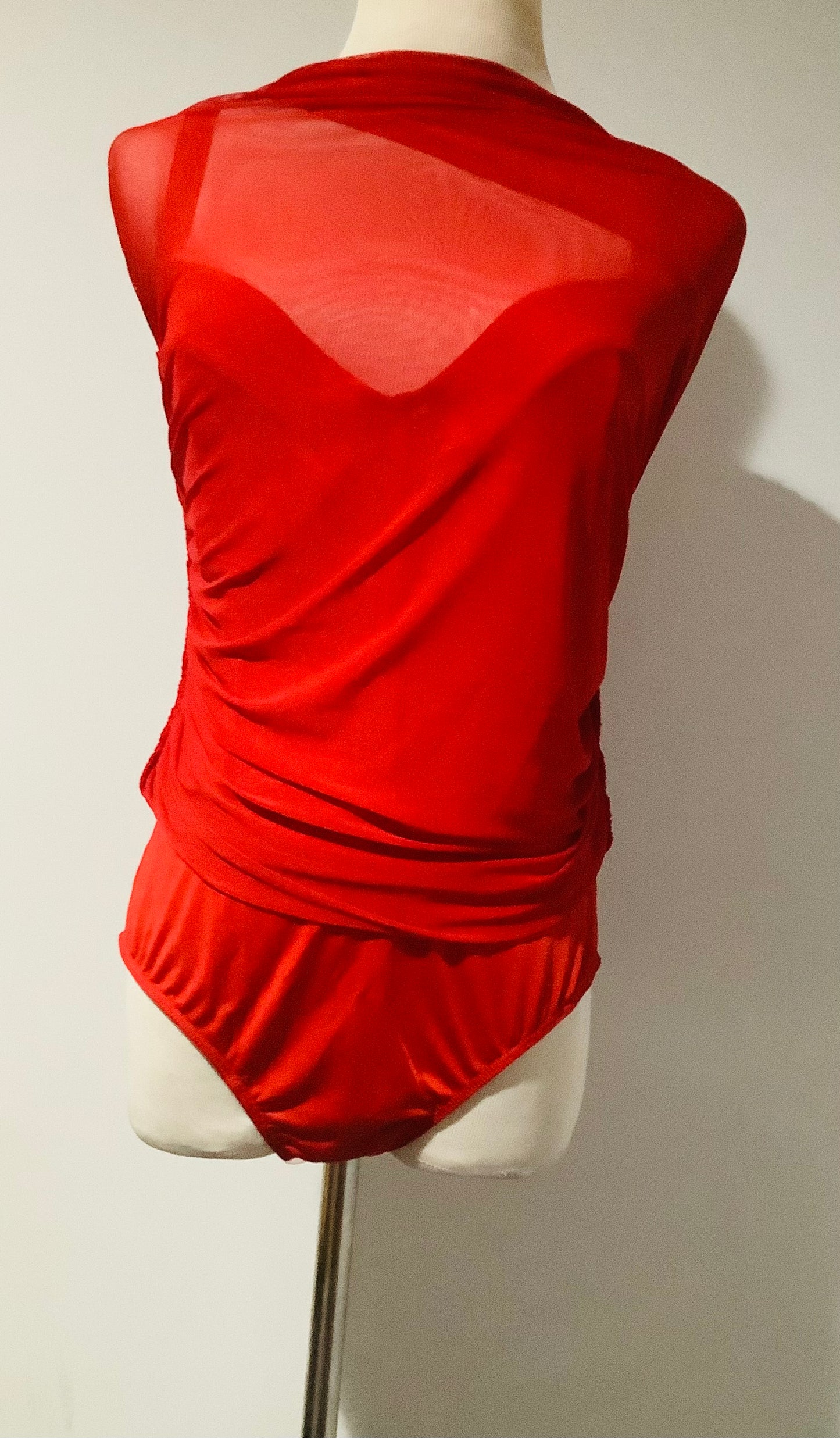 PLT: Mesh Corset Bodycon Dress NWT